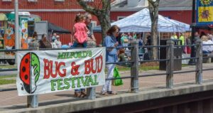 Downtown Milford Provides Council with Update