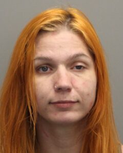Lincoln woman arrested for assault at fair gate