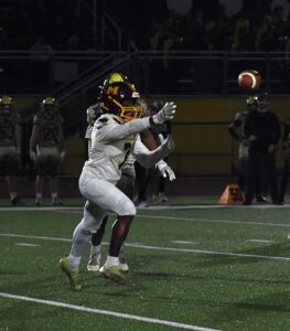 Ducks sink Bucs