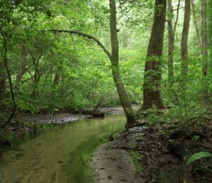 November events at Killen’s Pond State Park