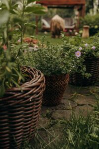 Garden Prep You Should Be Doing Now