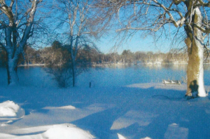 The 15th Anniversary of Snowmaggedon