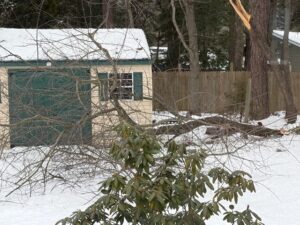City to Collect Extra Yard Waste