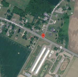 State Police Investigating Fatal Pedestrian Hit-and-Run Crash in Milford
