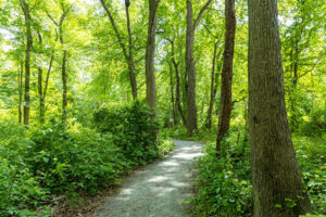 Delaware State Parks Celebrating 75 Years