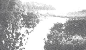 Griffith Lake