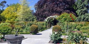 Delaware Nature Center Announces Eco-Tour to New Zealand