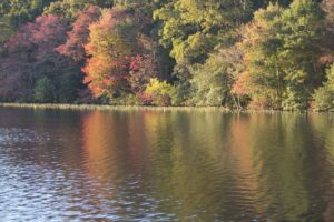 Killen’s Pond to Hold First Festival