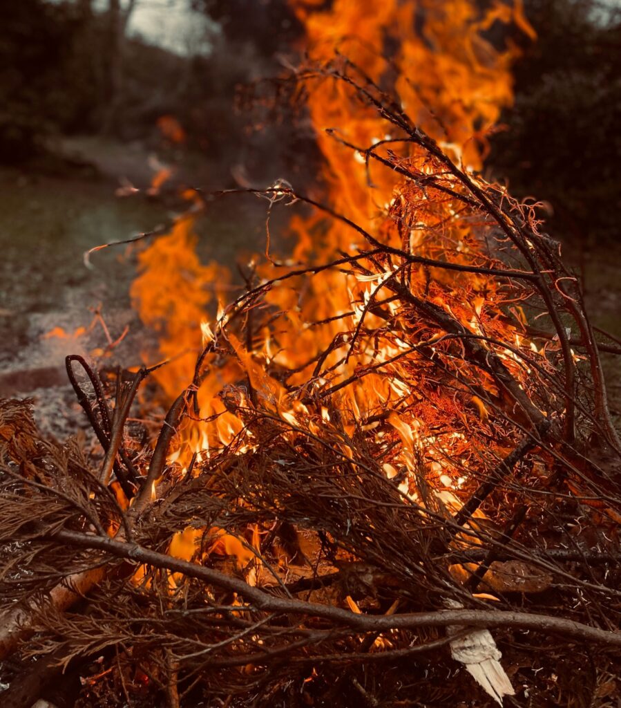 DNREC Reminds Delawareans About Burn Ban