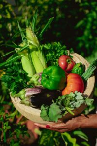 Fresh From the Garden: Simple Summer Recipes for Home Gardeners