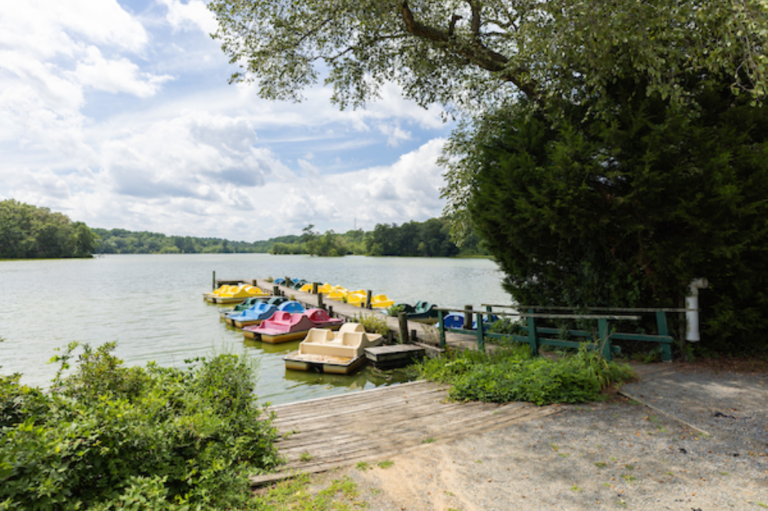 Join the PaddleQuest Challenge
