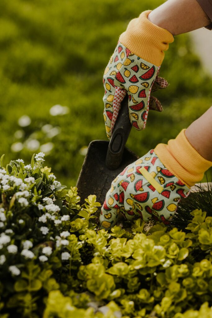 Prepare Gardens Now for the Winter Months Ahead