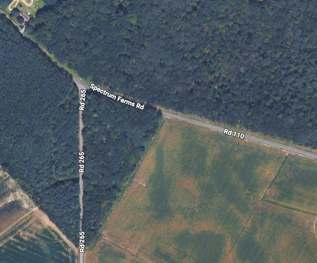 Felton Man Dies in Single-Vehicle Crash