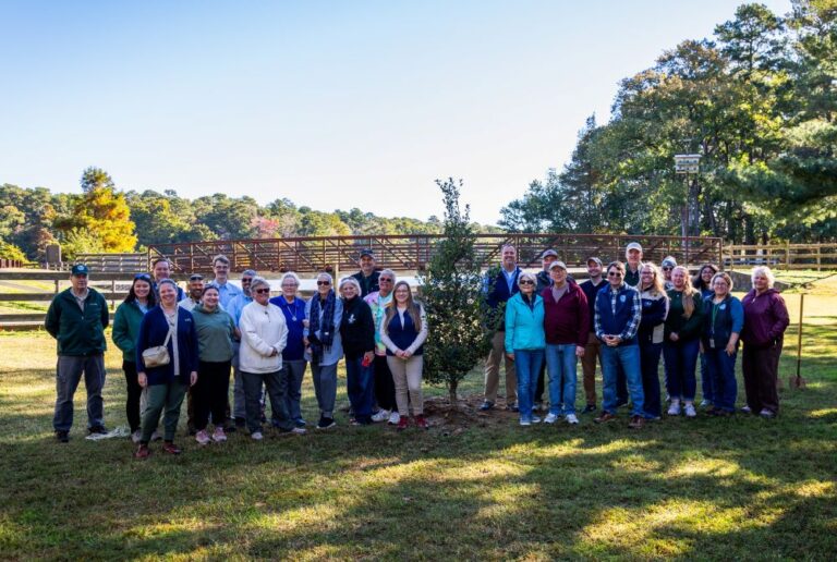 Delaware Parks Plant 75,000 Trees to Celebrate 75th Anniversary