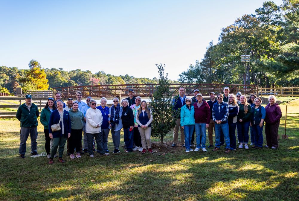 Delaware Parks Plant 75,000 Trees to Celebrate 75th Anniversary