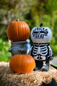 City Council Designates October 31 for Trick-or-Treat